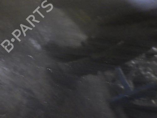 Right rear door RENAULT CLIO III (BR0/1, CR0/1) 1.2 16V Hi-Flex (BR1U, CR1U) | BP26434592C5 
