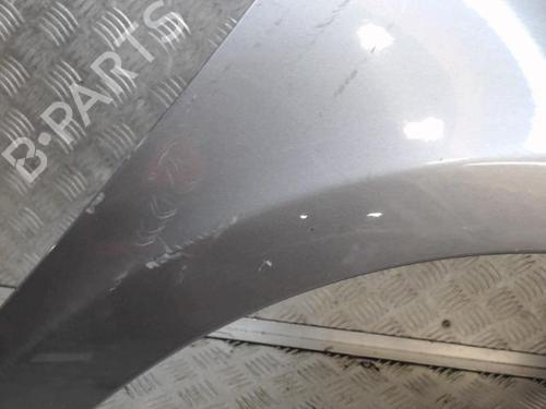 Used Right front fenders RENAULT CLIO III (BR0/1, CR0/1) 1.5 dCi (75 hp) 24272974