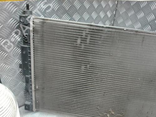 Used Water radiator Water radiator PEUGEOT 308 II (LB_, LP_, LW_, LH_, L3_) 1.2 THP 130 (131 hp) 24271077 24271077