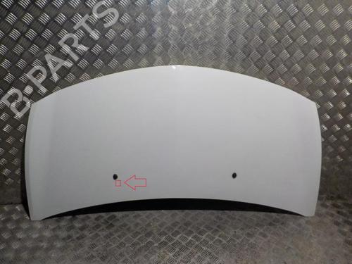 Hood RENAULT CLIO III (BR0/1, CR0/1) 1.5 dCi (C/BR0G, C/BR1G) | BP24280612C1 