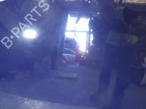 Hood RENAULT SCÉNIC III (JZ0/1_) 1.5 dCi | BP24265605C1