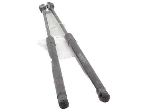 Used Tailgate lift support PEUGEOT 1007 (KM_) 1.4 HDi (68 hp) 30643059