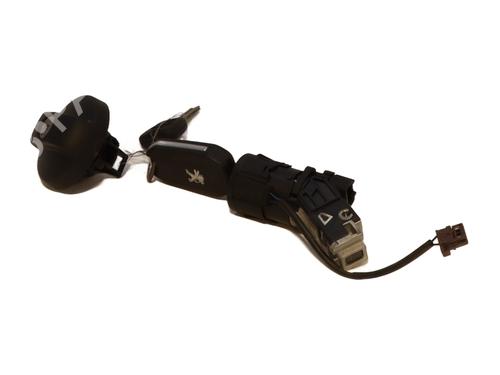 Used Ignition barrel Ignition barrel PEUGEOT 208 I (CA_, CC_) 1.4 HDi (68 hp) 28113030 28113030