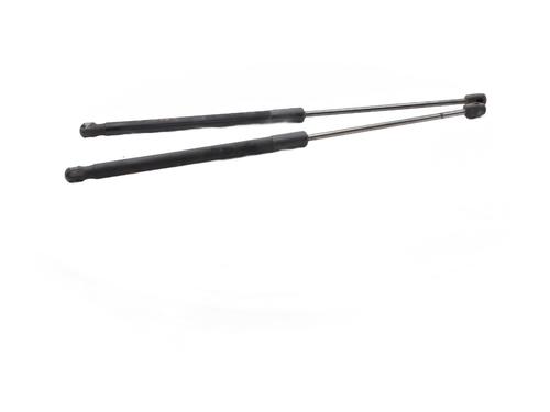 Tailgate lift support DACIA SANDERO 1.5 dCi | BP29188089C138 