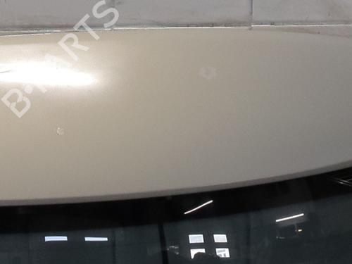 Used Tailgate Tailgate RENAULT ZOE (BFM_) ZOE (88 hp) 31381295 31381295