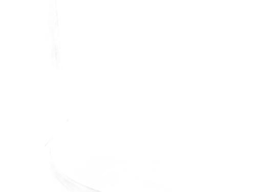 Tailgate lift support RENAULT TWINGO II (CN0_) 1.2 16V (CN04, CN0B) | BP30816817C138