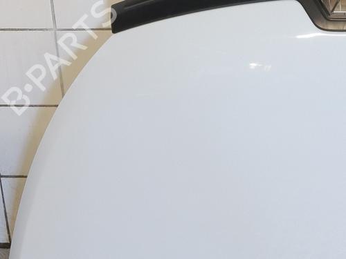 Used Hood Hood RENAULT TRAFIC III Van (FG_) 1.6 dCi 120 (FGMB, FGMC) (120 hp) 36763267 36763267
