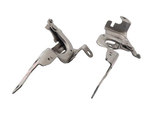 hingedoor-check-strap-renault-captur-i-j5_-h5_-2013-33042154 main image