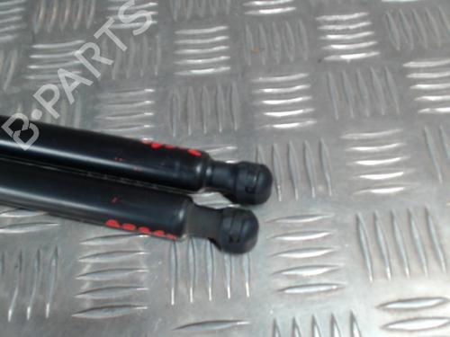 Tailgate lift support DACIA SANDERO II 1.5 dCi | BP24289931C138
