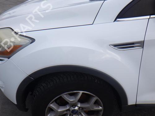 BP31718732C41 main image