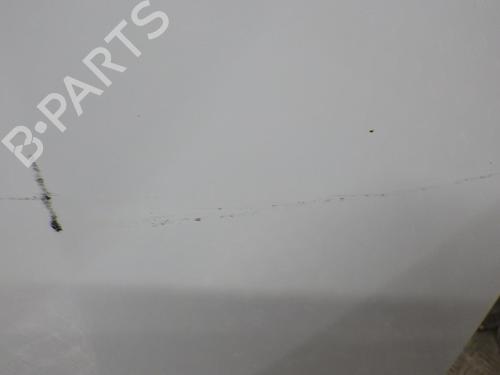Hood FORD TRANSIT CONNECT (P65_, P70_, P80_) 1.8 Di | BP24289744C1