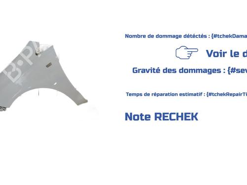 Left front fenders OPEL CORSA D (S07) 1.2 LPG (L08, L68) | BP29631120C41 