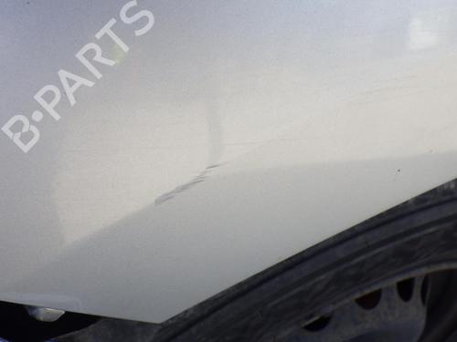 Left front fenders RENAULT SCÉNIC III (JZ0/1_) 1.9 dCi (JZ0J, JZ1J, JZ1K, JZ1S) | BP29925004C41