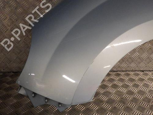 Left front fenders RENAULT KANGOO / GRAND KANGOO II (KW0/1_) 1.5 dCi 70 (KW0V, KW0A) | BP24291275C41 