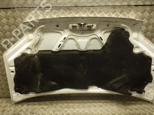 Hood FORD TRANSIT CONNECT (P65_, P70_, P80_) 1.8 Di | BP24289744C1