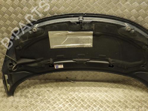 Hood PEUGEOT 207 CC (WD_) 1.6 16V | BP24289745C1