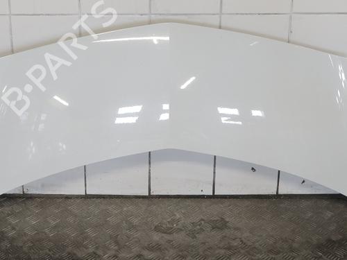 hood-renault-modus-grand-modus-fjp0_-2004-32517557 main image