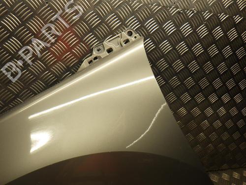 Left front fenders PEUGEOT 3008 I MPV (0U_) 1.6 HDi | BP24289698C41 