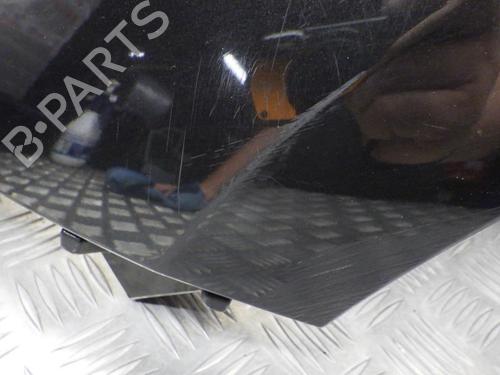 Left front fenders RENAULT SCÉNIC III (JZ0/1_) 1.9 dCi (JZ0J, JZ1J, JZ1K, JZ1S) | BP24289897C41 