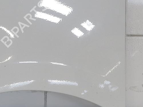 left-front-fenders-renault-trafic-iii-van-fg_-2014-34356627 main image
