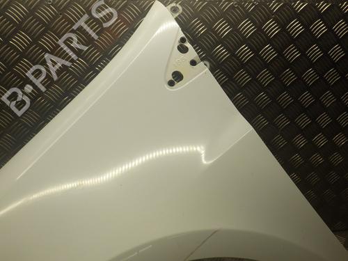 Left front fenders RENAULT CLIO III (BR0/1, CR0/1) 1.5 dCi (BR17, CR17) | BP25720830C41 