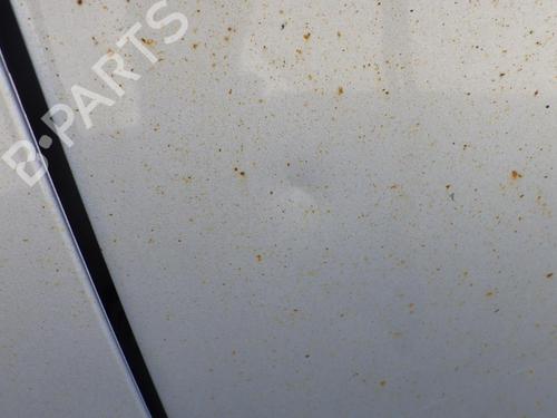 Left front door RENAULT SCÉNIC III (JZ0/1_) 1.9 dCi (JZ0J, JZ1J, JZ1K, JZ1S) | BP29925006C2