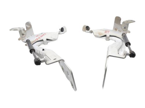 Used Hinge/Door check strap RENAULT GRAND SCÉNIC III (JZ0/1_) 1.2 TCe (JZ16) (132 hp) 28538081