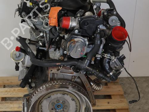 Used Engine Engine 38531648 38531648