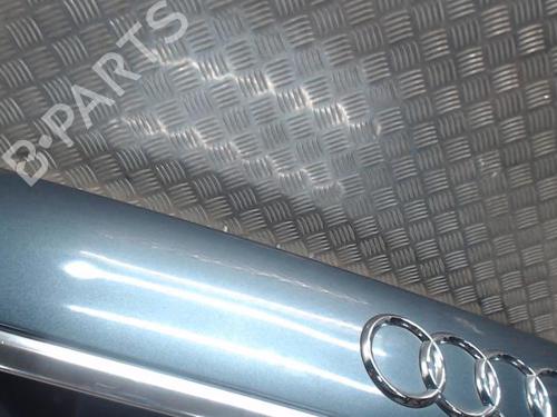 Bakluke CC/Kombi-Kupé AUDI A6 C6 (4F2) 2.7 TDI | BP24289080C6 