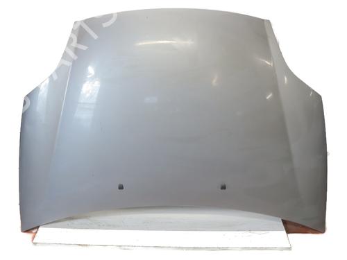 Used Hood FIAT BRAVO II (198_) 1.6 D Multijet (198AXL1B) (120 hp) 30962853