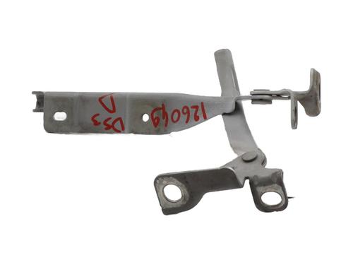 hingedoor-check-strap-citroen-ds3-sa_-2009-2010-2011-2012-2013-2014-2015-2016-31290148 main image