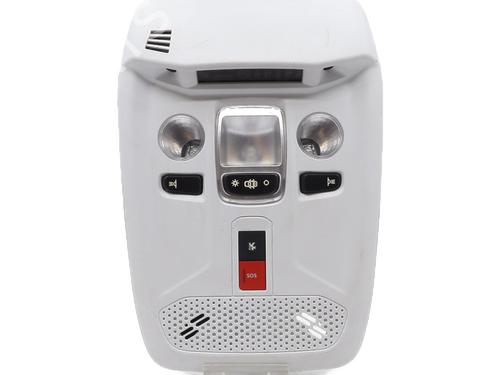 Used Interior roof light PEUGEOT 2008 II (UD_, US_, UY_, UJ_, UR_, UC_) 1.5 BlueHDI 130 (131 hp) 30820959