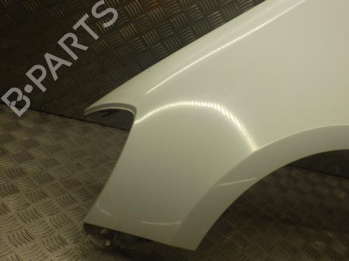Left front fenders RENAULT CLIO III (BR0/1, CR0/1) 1.5 dCi (BR17, CR17) | BP25720830C41 