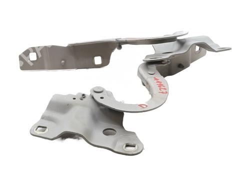 hingedoor-check-strap-renault-zoe-bfm_-2012-32299834 main image