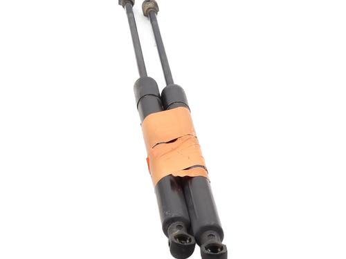 Amortecedor da mala CITROËN C3 II (SC_) 1.4 (73 hp) 31114186