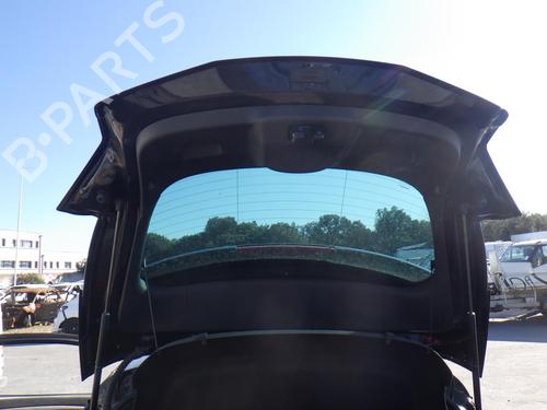 Used Tailgate Tailgate RENAULT MEGANE III Coupe (DZ0/1_) 2.0 R.S. (265 hp) 33739100 33739100