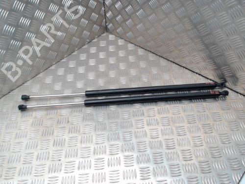 Used Tailgate lift support RENAULT ESPACE IV (JK0/1_) 2.0 dCi (JK01, JK02, JK1J, JK1K, JK1H) (150 hp) 24290910
