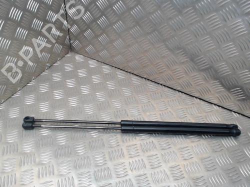 Gasdæmper bagklap FORD FOCUS C-MAX (DM2) 2.0 TDCi (133 hp) 24291956