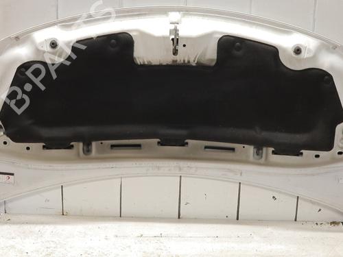 hood-citroen-ds3-sa_-2009-2010-2011-2012-2013-2014-2015-2016-31214462 main image