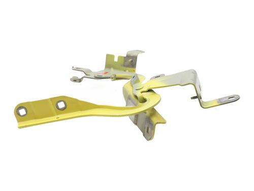 Hinge/Door check strap RENAULT CLIO IV (BH_) 1.2 16V | BP31159853C146 