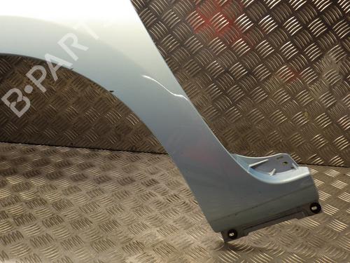 Left front fenders RENAULT KANGOO / GRAND KANGOO II (KW0/1_) 1.5 dCi 70 (KW0V, KW0A) | BP24291275C41 