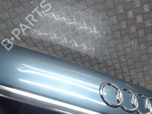 Bakluke CC/Kombi-Kupé AUDI A6 C6 (4F2) 2.7 TDI | BP24289080C6 
