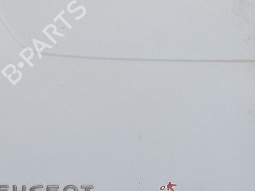 Used Left tailgate Left tailgate PEUGEOT EXPERT Van (VF3A_, VF3U_, VF3X_) 2.0 HDi 120 (120 hp) 33984335 33984335