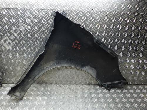 Used Left front fenders RENAULT SCÉNIC III (JZ0/1_) 1.9 dCi (JZ0J, JZ1J, JZ1K, JZ1S) (131 hp) 24289897