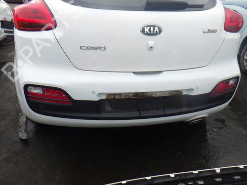 Used Rear bumper KIA PRO CEE'D (JD) 1.6 CRDi 136 (136 hp) 24291315