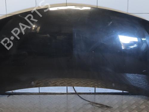 Motorhaube für Motorhaube RENAULT TWINGO II (CN0_) [2007-2026] 36763266 36763266