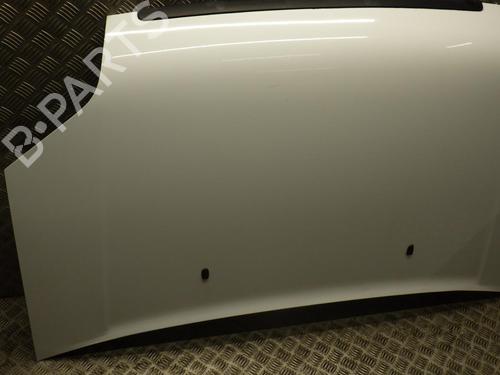 Hood FORD TRANSIT CONNECT (P65_, P70_, P80_) 1.8 Di | BP24289744C1