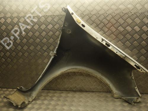 Left front fenders RENAULT CLIO III (BR0/1, CR0/1) 1.5 dCi (BR17, CR17) | BP25720830C41 