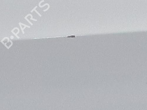 Left front door FORD S-MAX (CJ, WA6) 2.0 TDCi 4x4 | BP31579848C2