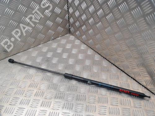 Used Hood lift support RENAULT MEGANE III Hatchback (BZ0/1_, B3_) 1.5 dCi (106 hp) 24289015